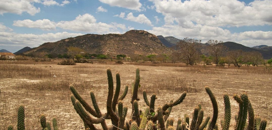 imagem que representa o clima equatorial